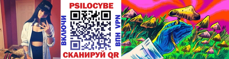 Псилоцибиновые грибы Psilocybe Уварово